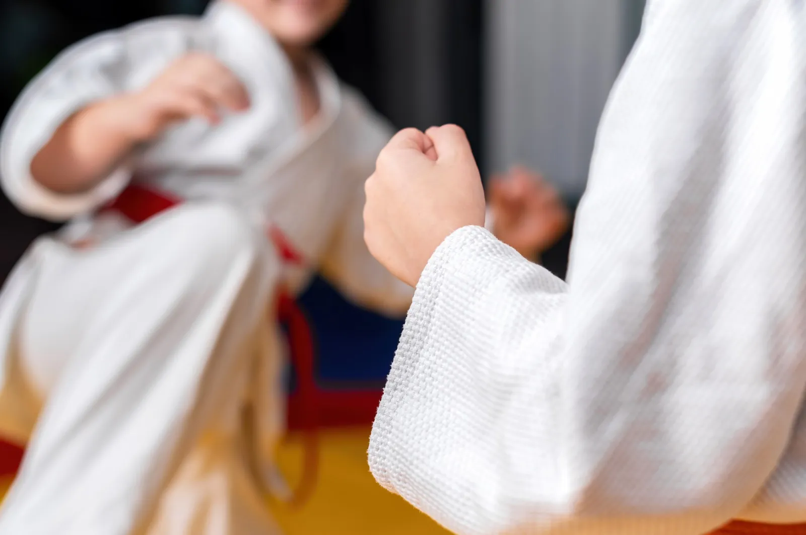 Welcome to OMAC Martial Arts Richmond Hill