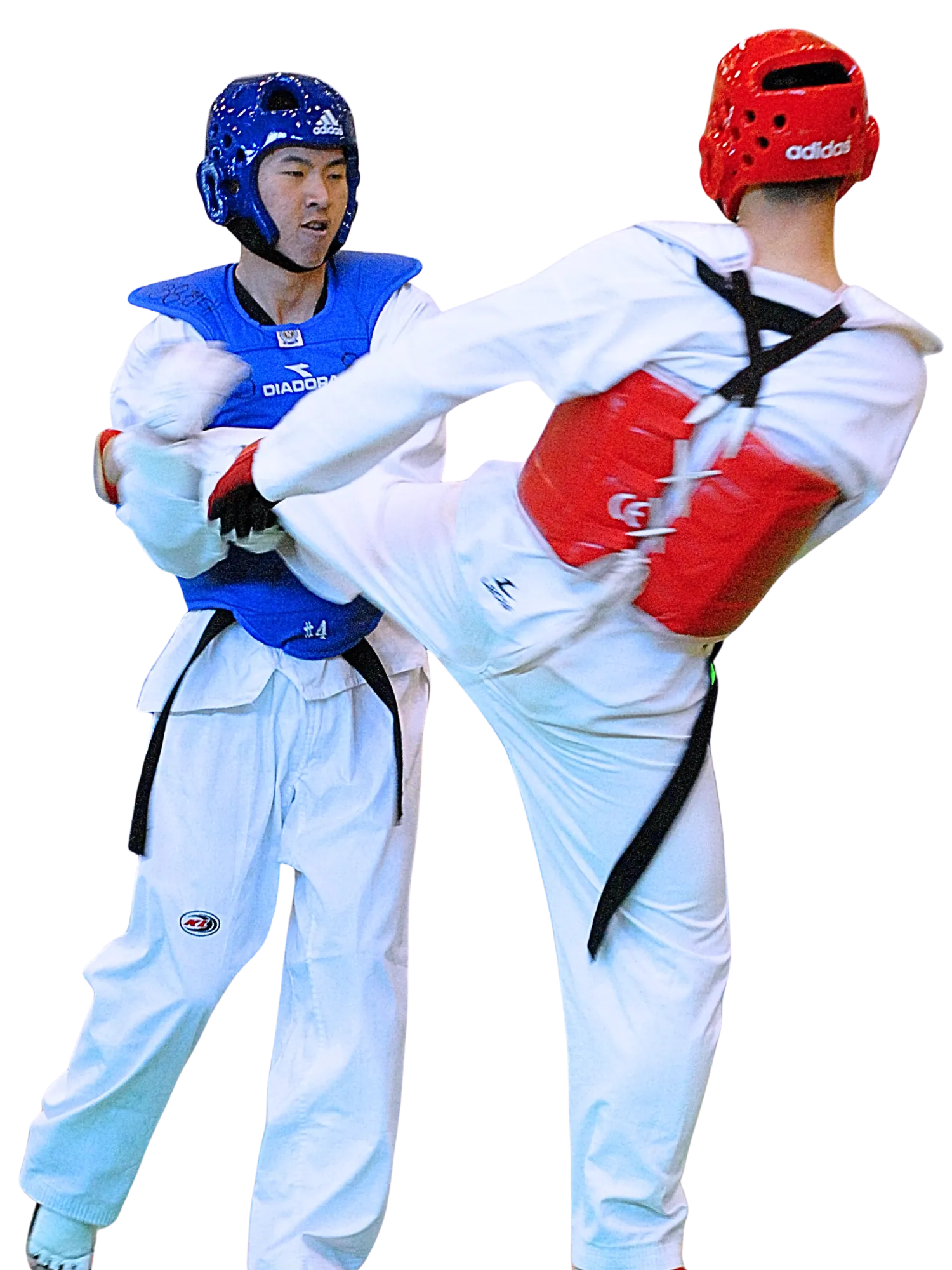 Teen and Adults Taekwondo (13+) class